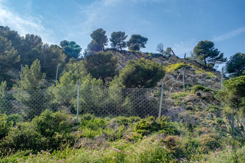 foto della vegetazione dell'incompiuta