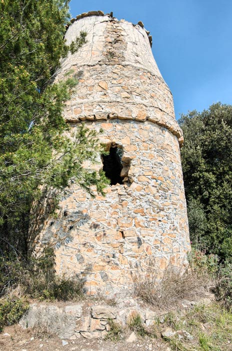 immagine di Torre Alpicella