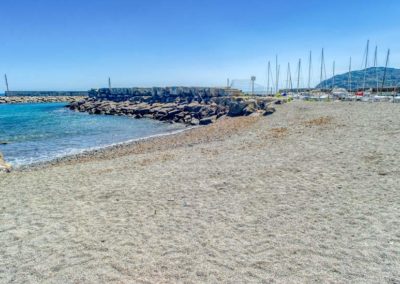 spiaggia-animali-golfo-dianese-2