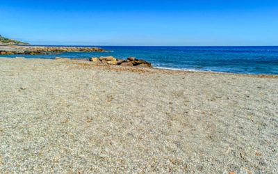 Spiaggia Libera per Cani