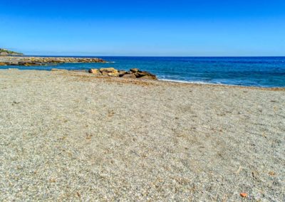 spiaggia-animali-golfo-dianese